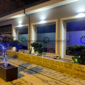 Delfino-esterno-night-ld
